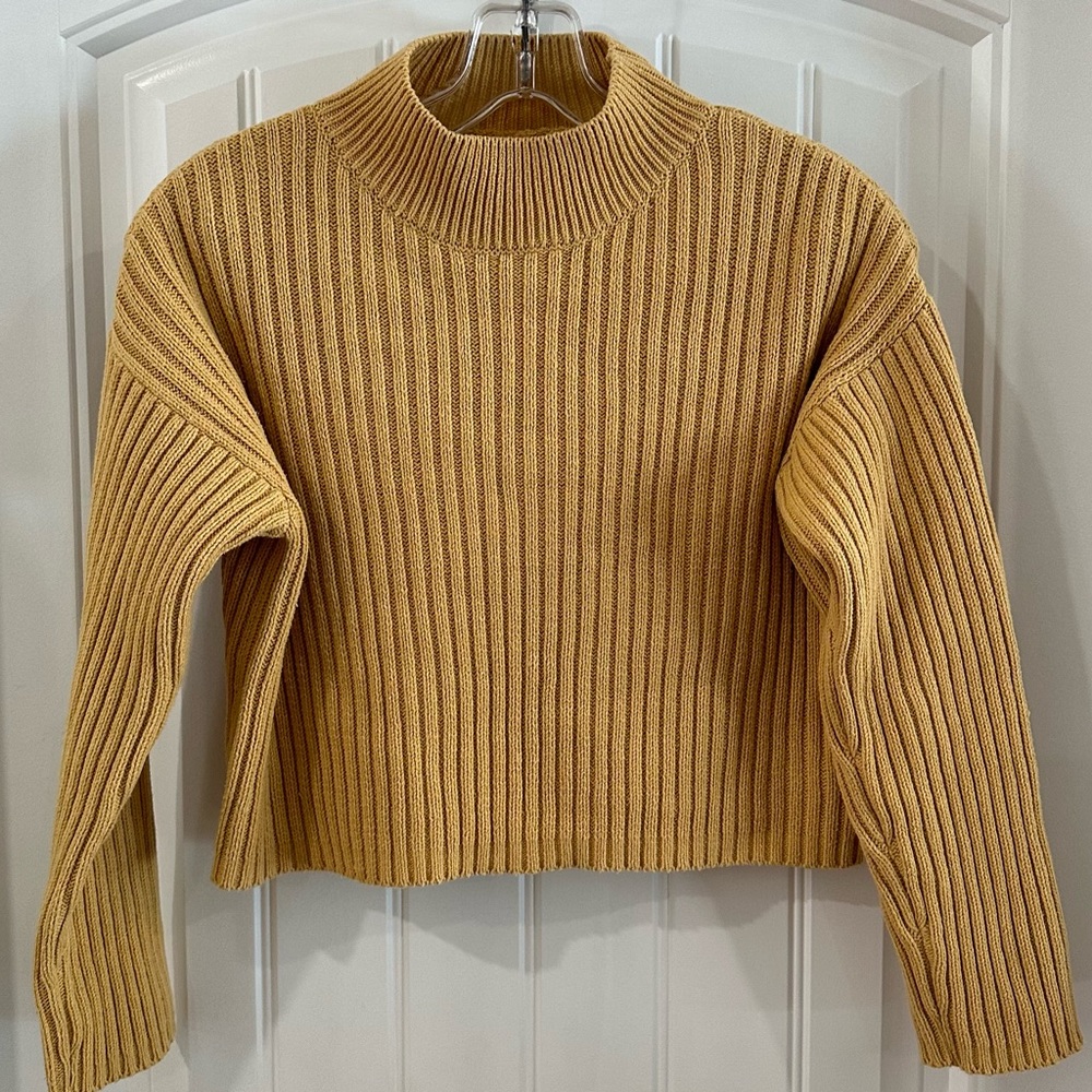 Zara Cropped Ribbed Mock neck Sweater XL